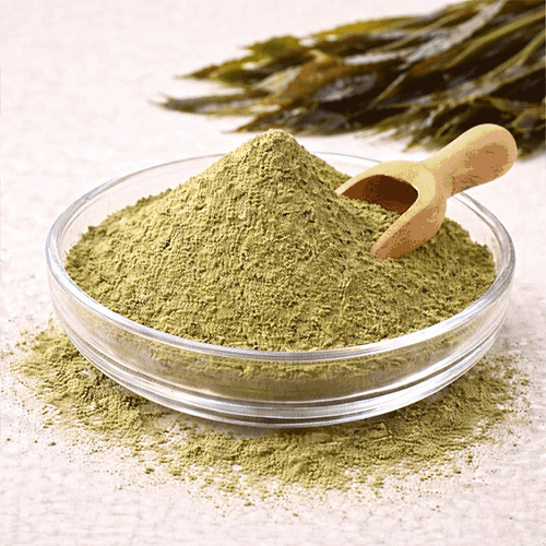 Kelp Powder